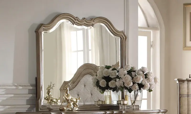 Acme Chelmsford Landscape Mirror – Antique Taupe Frame, Model 26054 1