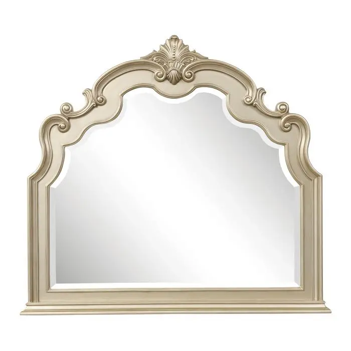 Antoinetta Champagne Wood Rectangular Mirror – Framed Wall Mirror With Subtle Gold-Tone Accents, Style 1919Nc-6 1