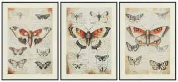 Jossletts Gallery-Wall Art Collection (Set Of 3) 1