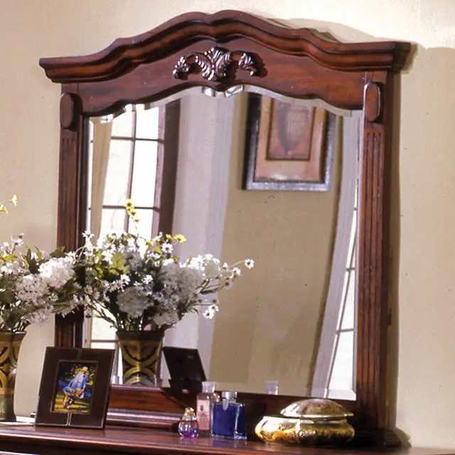 Lewisburg Full-Length Wall Mirror With Frame 1