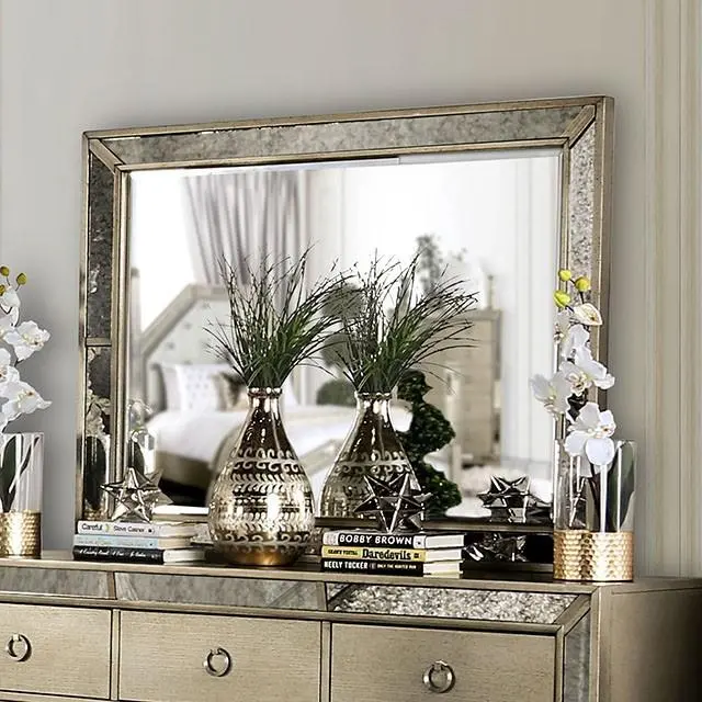 Loraine Champagne-Tone Wall Mirror With Frame 1